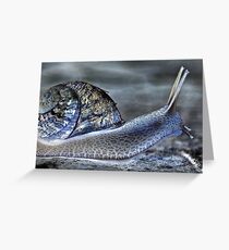 Snail's Pace Greeting Card