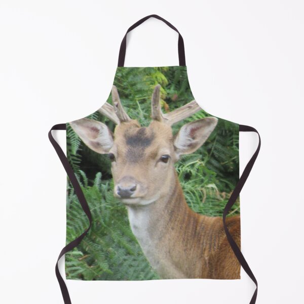 Item preview, Young Stag Photograph in Cannock Chase designed and sold by Paulele.