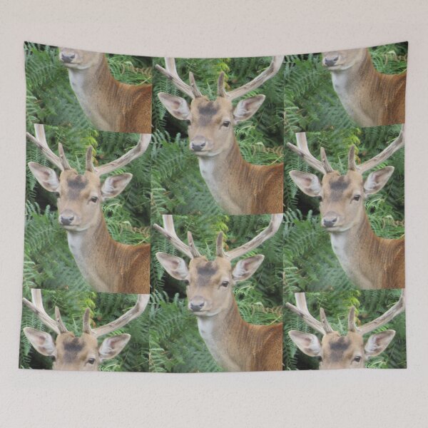 Item preview, Young Stag Photograph in Cannock Chase designed and sold by Paulele.