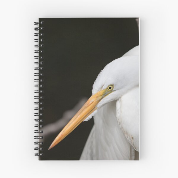 Item preview, Great Egret, Big Cypress National Preserve, Florida, USA designed and sold by Dimitrios Timpilis.