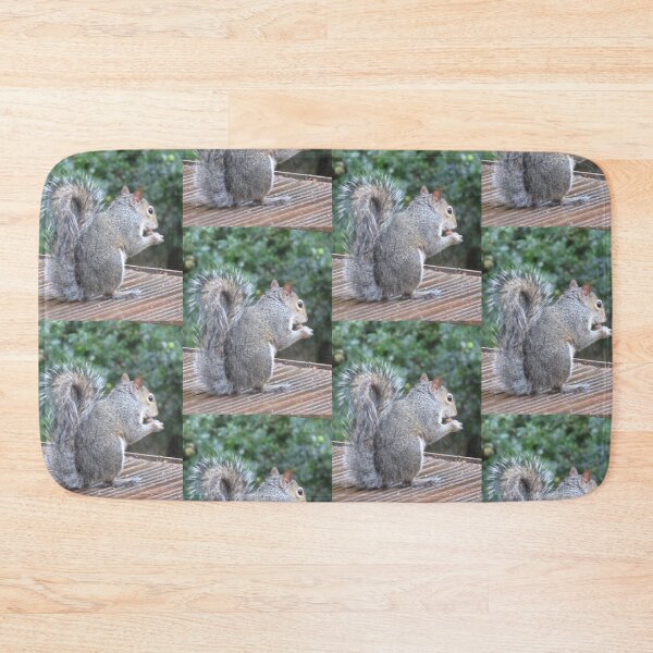 Item preview, Squirrel Photograph from Cannock Chase designed and sold by Paulele.