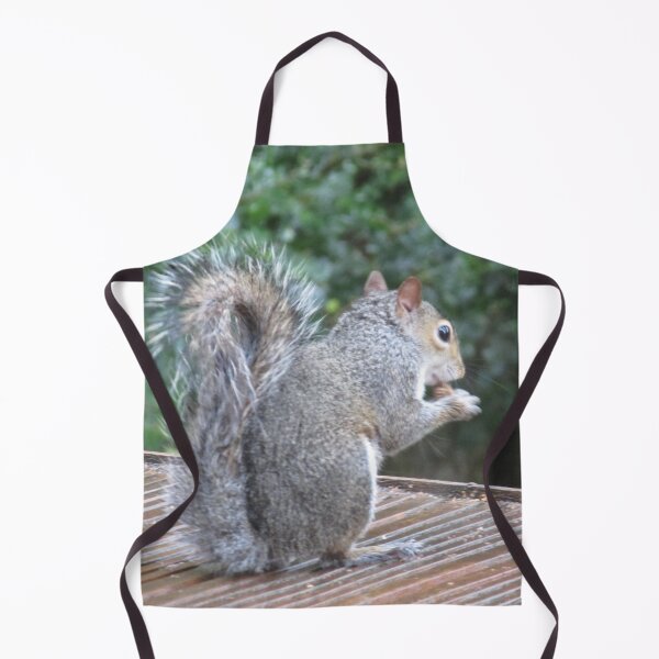 Item preview, Squirrel Photograph from Cannock Chase designed and sold by Paulele.