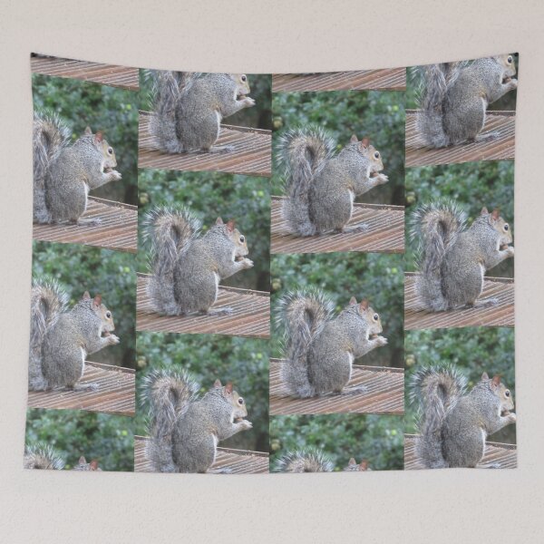 Item preview, Squirrel Photograph from Cannock Chase designed and sold by Paulele.