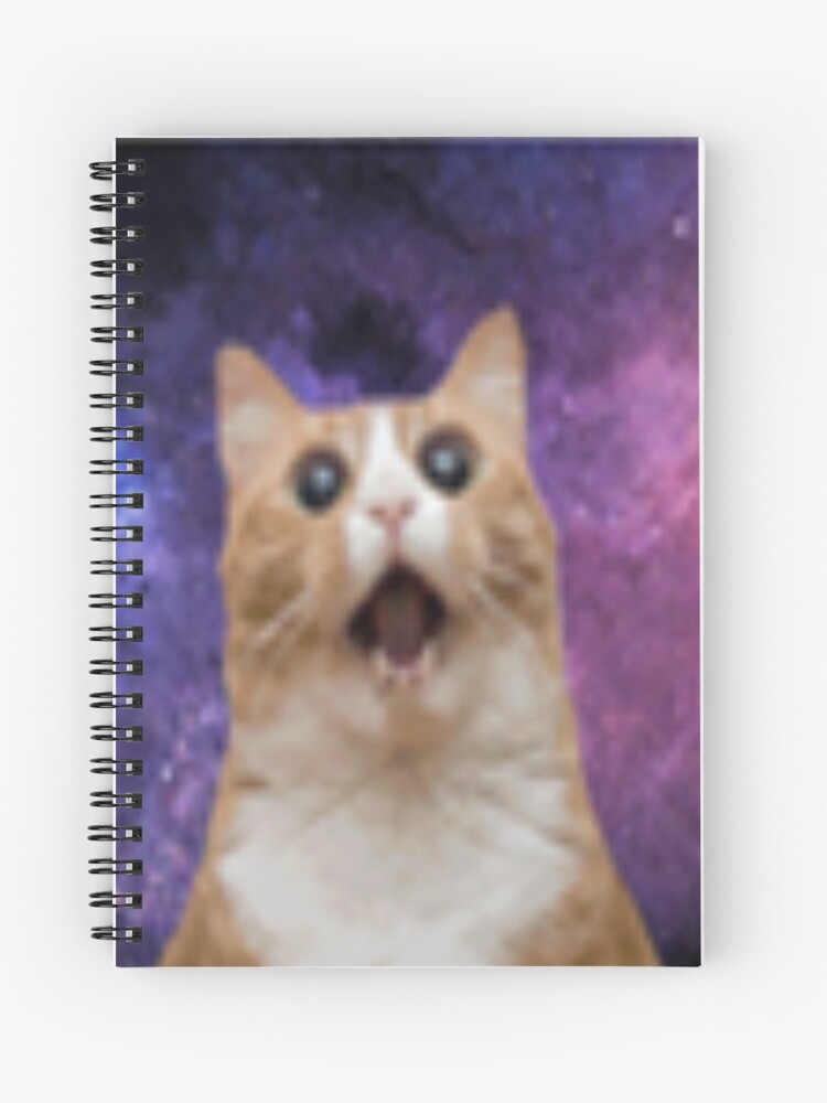 Pokediger Spiral Notebook By Crazycrazydan Redbubble - roblox by crazycrazydan redbubble