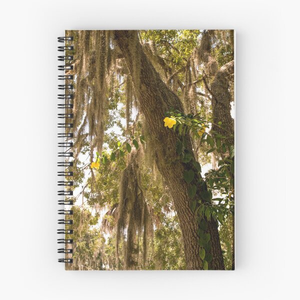 Item preview, Allamanda And Oak Tree designed and sold by Zina Stromberg.