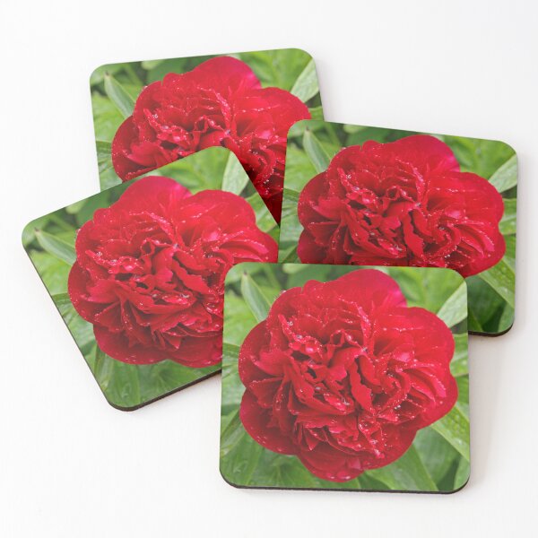 Item preview, Red Peony designed and sold by RedHillDigital.