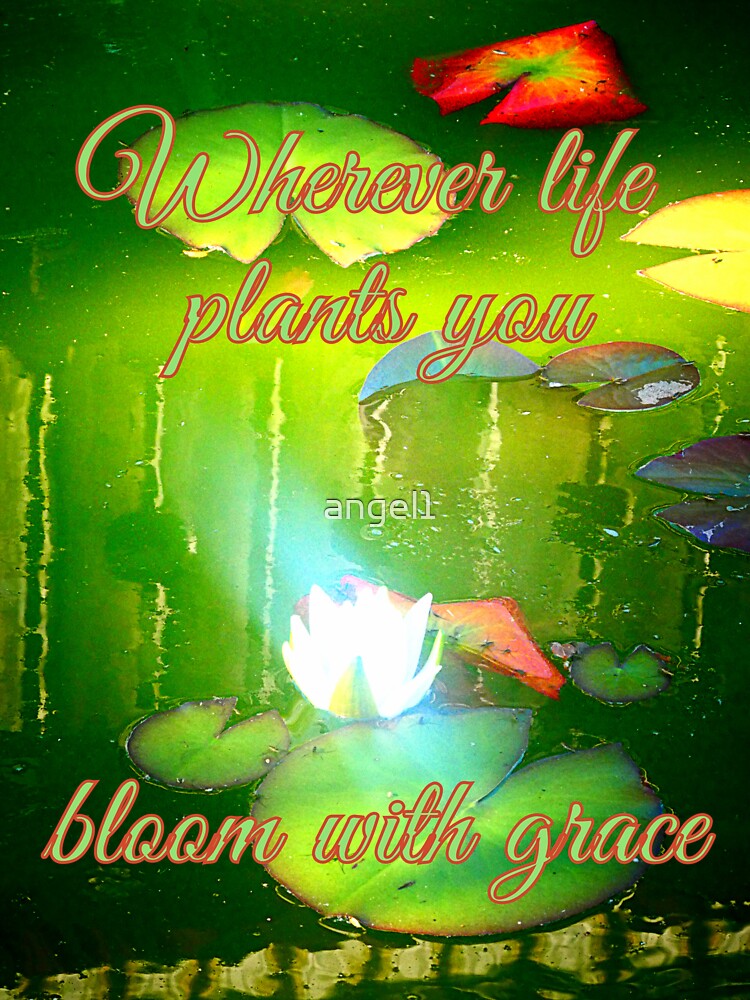 "Wherever life plants you, bloom with grace." Sticker by angel1 Redbubble