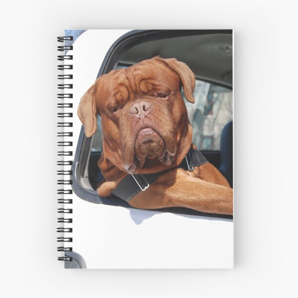 Item preview, Along for the Ride designed and sold by Kathleen Brant.