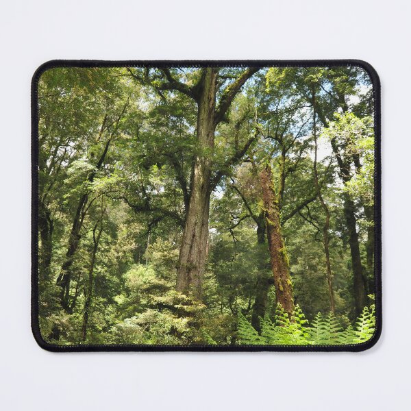Item preview, Temperate rainforest designed and sold by quentinjlang.