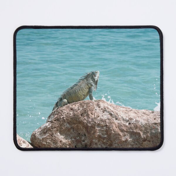 Item preview, Iguana Curacao Ocean Dream #1 #wall #art designed and sold by Anita's & Bella's Art.