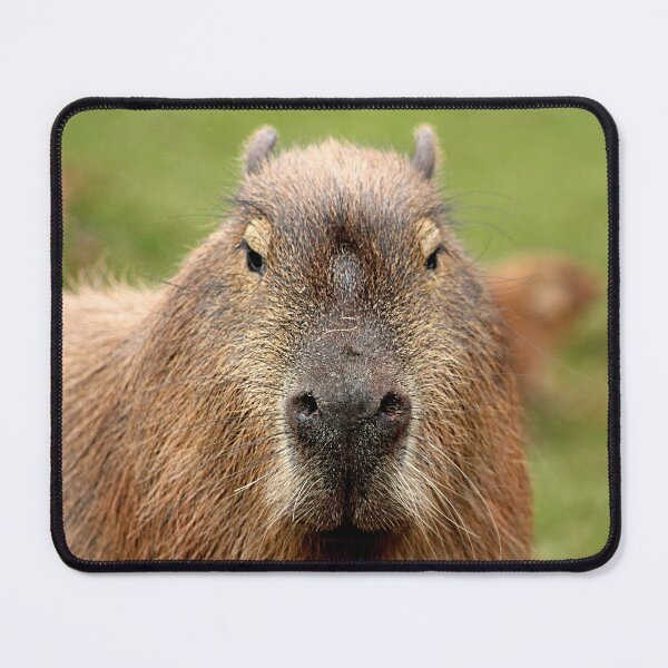Item preview, Portrait of a rather handsome capybara designed and sold by Ladymoose.