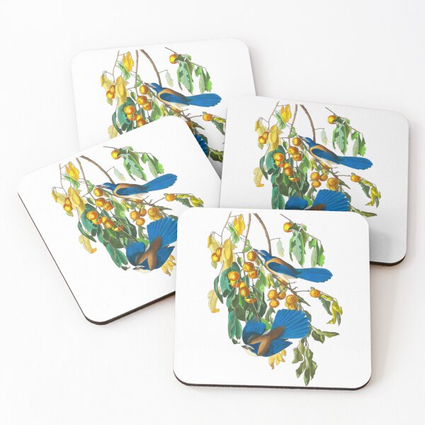 Item preview, John James Audubon Florida Jay designed and sold by Olivia-One.