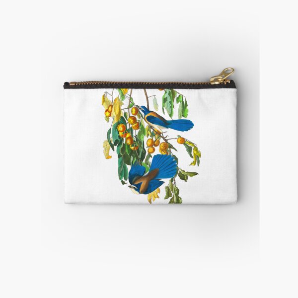 Item preview, John James Audubon Florida Jay designed and sold by Olivia-One.