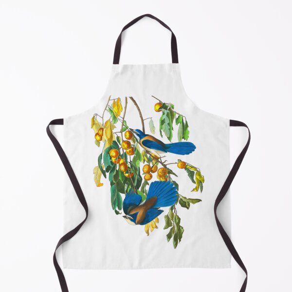 Item preview, John James Audubon Florida Jay designed and sold by Olivia-One.