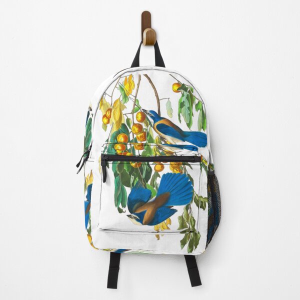 Item preview, John James Audubon Florida Jay designed and sold by Olivia-One.