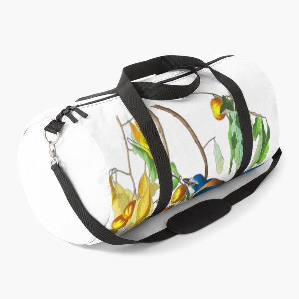 Item preview, John James Audubon Florida Jay designed and sold by Olivia-One.