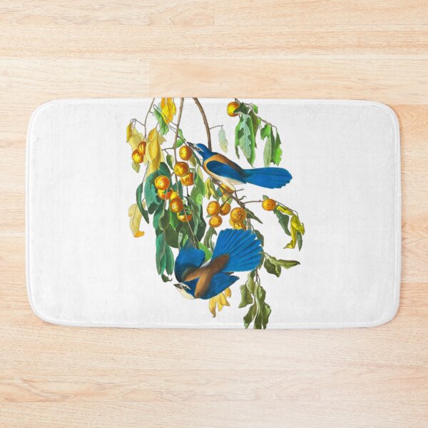 Item preview, John James Audubon Florida Jay designed and sold by Olivia-One.