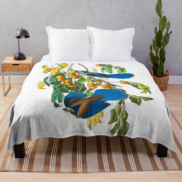 Item preview, John James Audubon Florida Jay designed and sold by Olivia-One.