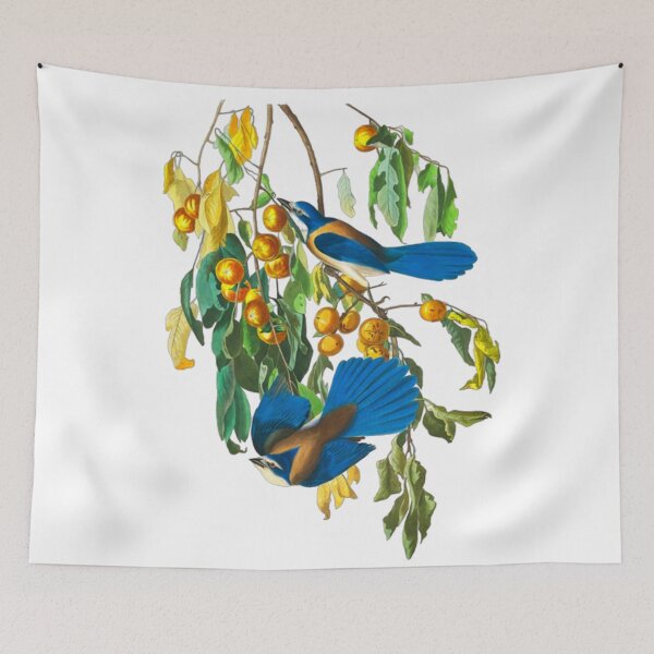 Item preview, John James Audubon Florida Jay designed and sold by Olivia-One.