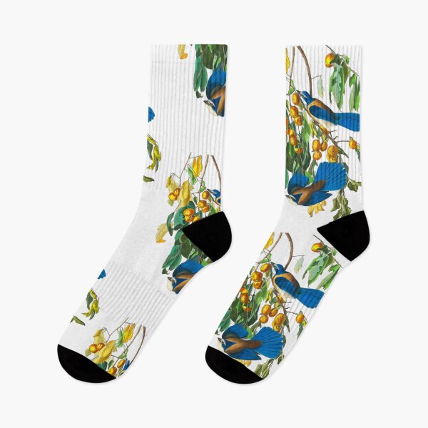 Item preview, John James Audubon Florida Jay designed and sold by Olivia-One.