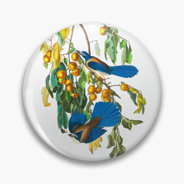 Item preview, John James Audubon Florida Jay designed and sold by Olivia-One.