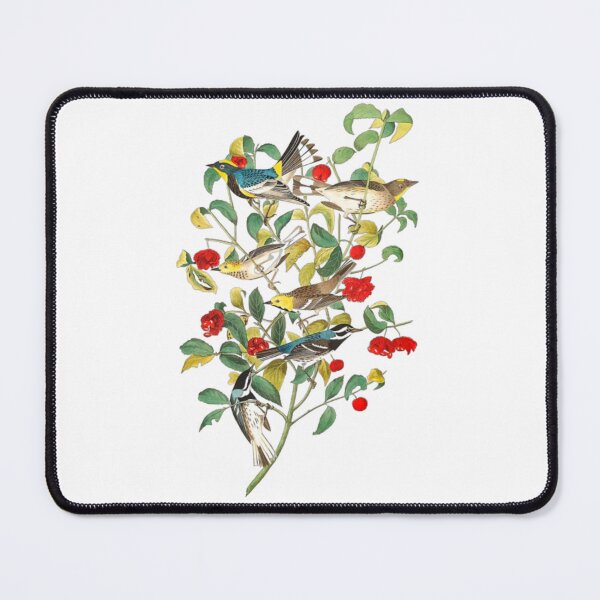 Item preview, John James Audubon Warbler designed and sold by Olivia-One.