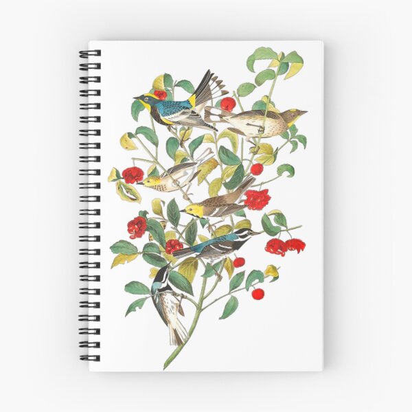 Item preview, John James Audubon Warbler designed and sold by Olivia-One.