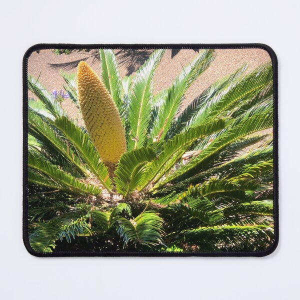 Item preview, Super Spike in Cycad Center designed and sold by KazM.