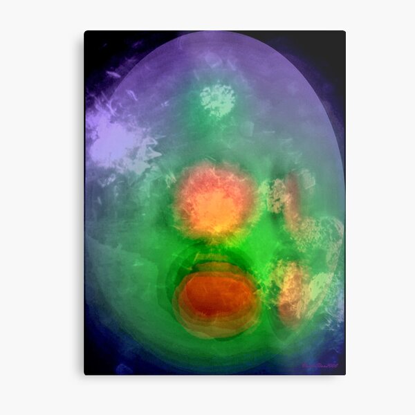 Brahmanda - the primordial cosmic egg Metal Print