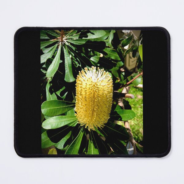 Item preview, Beaut Bottlebrush  designed and sold by KazM.