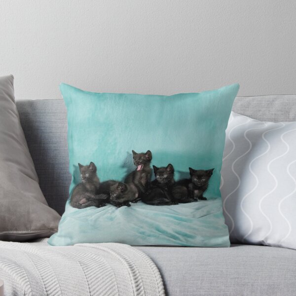 Item preview, Five kittens 3 turquoise designed and sold by jo-twinflame.