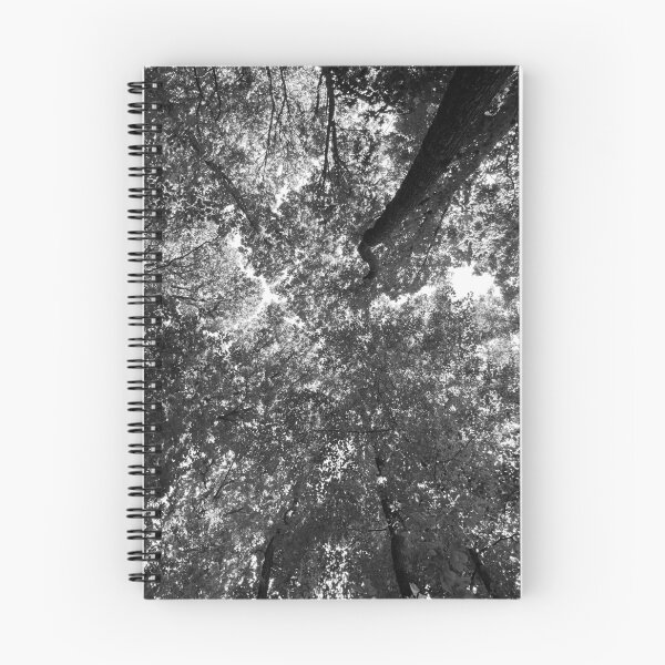 Item preview, Trees with sky as a Background Black and White designed and sold by Ti-Media.
