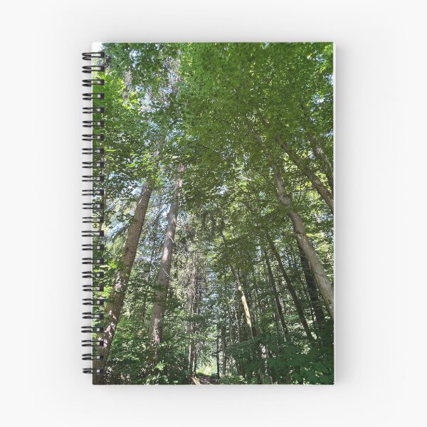 Item preview, Trees as a Background designed and sold by Ti-Media.