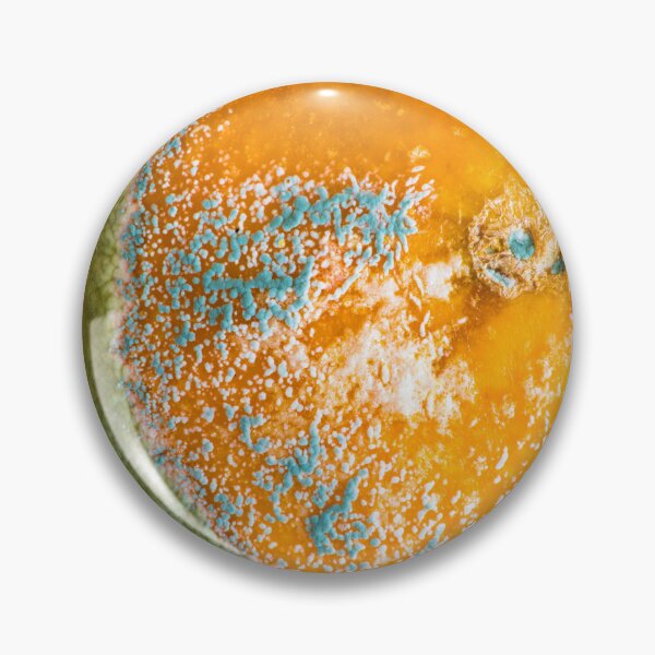 Item preview, White, Blue & Green Mold on an Orange designed and sold by Bill Spengler's Photographic Thoughts.