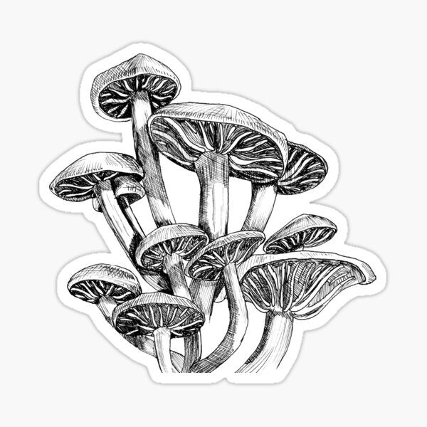 Mushrooms Sticker
