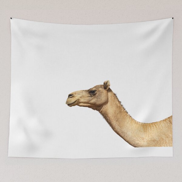 Item preview, camel portrait against white background designed and sold by stedata.