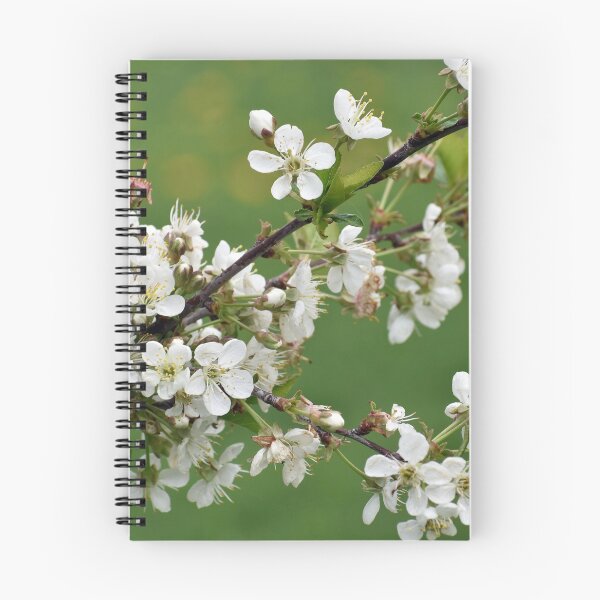 Item preview, Flowering Tree designed and sold by Curiositae.