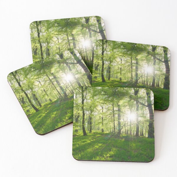 Item preview, Beech Forest in Spring designed and sold by Craig Joiner.