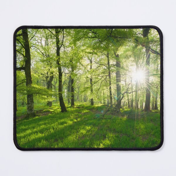 Item preview, Beech Forest in Spring designed and sold by Craig Joiner.