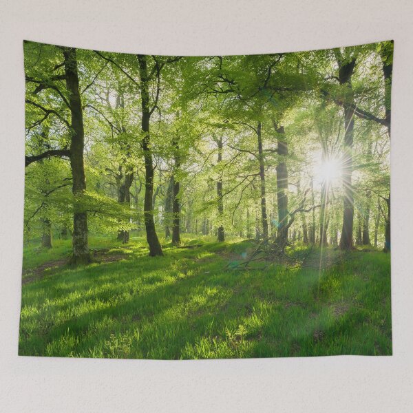 Item preview, Beech Forest in Spring designed and sold by Craig Joiner.