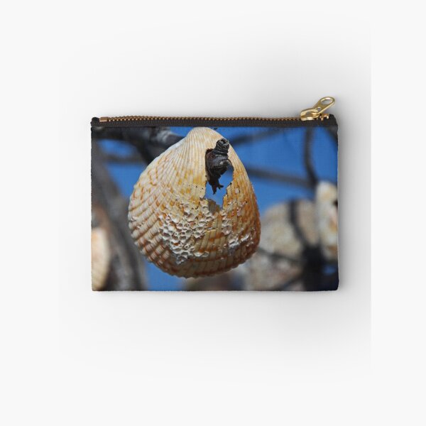 Item preview, A Shell at the Shore  designed and sold by Michiale.