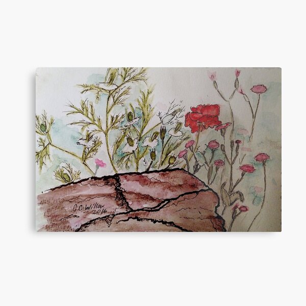 Poppy at Springer Botanical Metal Print