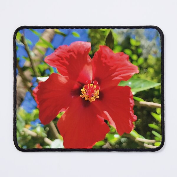 Item preview, Beautiful Spanish Red Flower designed and sold by DeliveryGeorge.