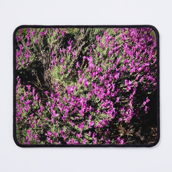Item preview, Lovely Lavender designed and sold by KazM.