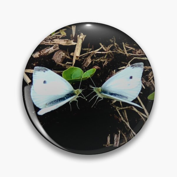 Item preview, Pair of Lepidoptera Butterfly or Moth? designed and sold by KazM.