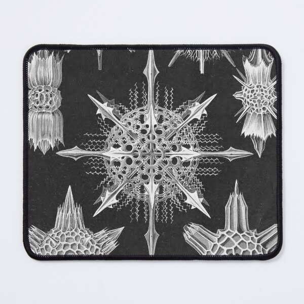 Item preview, Ernst Haeckel Acanthophracta Forms of Nature Coral Skeleton designed and sold by cutesy.
