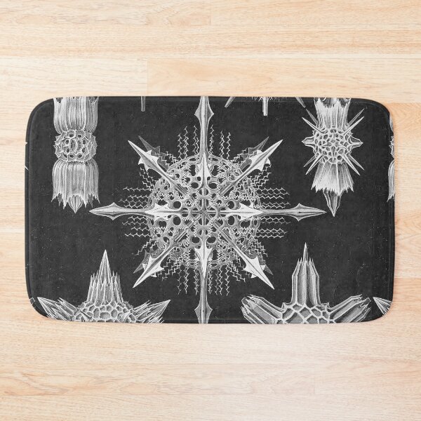 Item preview, Ernst Haeckel Acanthophracta Forms of Nature Coral Skeleton designed and sold by cutesy.