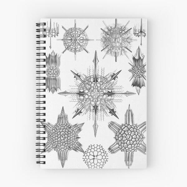 Item preview, Ernst Haeckel Coral Skeleton Forms of Nature Acanthophracta designed and sold by cutesy.