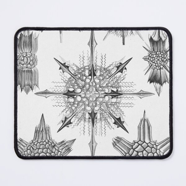 Item preview, Ernst Haeckel Coral Skeleton Forms of Nature Acanthophracta designed and sold by cutesy.