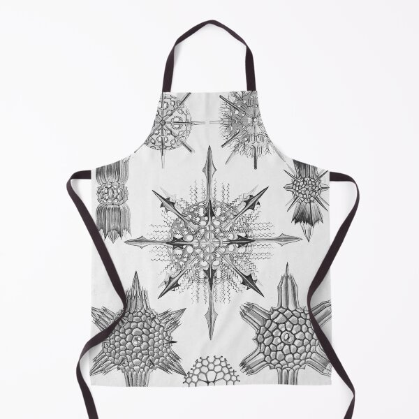 Item preview, Ernst Haeckel Coral Skeleton Forms of Nature Acanthophracta designed and sold by cutesy.